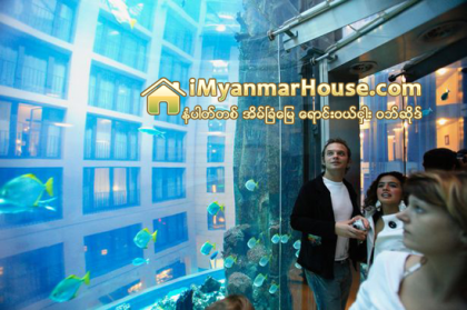 ဟိုတယ္အတြင္းမွာ တည္ေဆာက္ထားတဲ့ ငါးျပတုိက္ - Property News in Myanmar from iMyanmarHouse.com