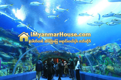 ဟိုတယ္အတြင္းမွာ တည္ေဆာက္ထားတဲ့ ငါးျပတုိက္ - Property News in Myanmar from iMyanmarHouse.com