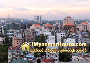 ေျမကြက္ အျမန္ ေရာင္းမည္