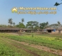 ေျမကြက္ အျမန္ ေရာင္းမည္