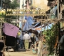 ေျမကြက္ အျမန္ ေရာင္းမည္