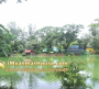 ေျမကြက္ အျမန္ ေရာင္းမည္