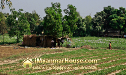 ၿမိဳ႕ဧရိယာအတြင္းပါ၀င္ၿပီး လူေနထိုင္သည့္ လယ္ယာေျမမ်ားကို ၿမိဳ႕ေျမအျဖစ္ သတ္မွတ္၍ ေျမဂရန္ထုတ္ေပးမည္ - Property News in Myanmar from iMyanmarHouse.com