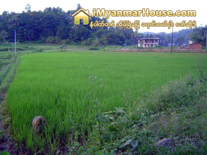 အဆင့္ျမင့္ၿမိဳ႕ေတာ္ စီမံကိန္း စက္တင္ဘာလတြင္ ျပန္လည္စတင္မည္ - Property News in Myanmar from iMyanmarHouse.com