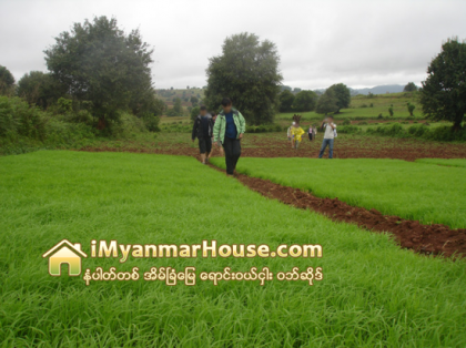 ေရြးေကာက္ပြဲၿပီးရင္ ေျမေစ်းက်နုိင္ေျခမ်ား - Property News in Myanmar from iMyanmarHouse.com