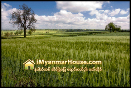 အမည္ေပါက္ေျမကြက္ကို စာခ်ဳပ္အတုလုပ္ ေပါင္နွံေရာင္းခ်သူေတြကို ဖမ္း - Property News in Myanmar from iMyanmarHouse.com