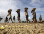 ေျမကြက္ အျမန္ ေရာင္းမည္