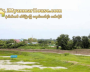 ေျမကြက္ အျမန္ ေရာင္းမည္