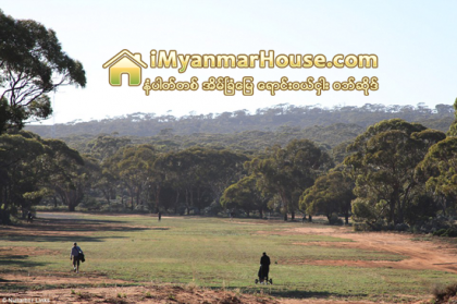ကမၻာ႔အႀကီးဆုံး ေဂါက္ကြင္း - Property News in Myanmar from iMyanmarHouse.com