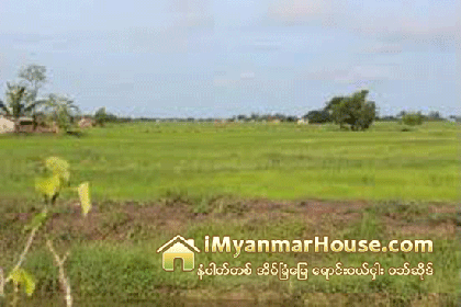 ဒဂံုဧရာအေ၀းေျပး၀င္းအနီး ေျမကြက္မ်ား ေရာင္းခ်ေန - Property News in Myanmar from iMyanmarHouse.com