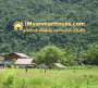 ေျမကြက္ အျမန္ ေရာင္းမည္