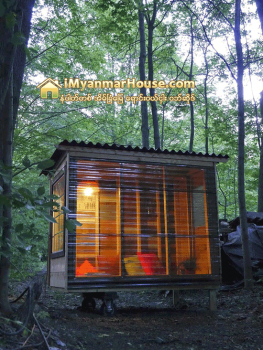 အရြယ္ငယ္ေပမယ့္လည္း အဆိပ္နဲ႔ပါ - Property News in Myanmar from iMyanmarHouse.com