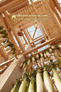 အထူးဆန္းဆံုး ဂ်ပန္အိမ္ (၅) လံုး - Property News in Myanmar from iMyanmarHouse.com