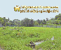 ေျမကြက္ အျမန္ ေရာင္းမည္