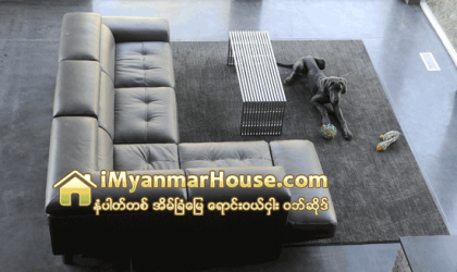 အိမ္ေမြးတိရစၦာန္ေတြကို မိသားစု၀င္တစ္ေယာက္ကို အေရးတယူရွိလာတဲ့ အေမရိကန္အိမ္ေစ်းကြက္ - Property News in Myanmar from iMyanmarHouse.com
