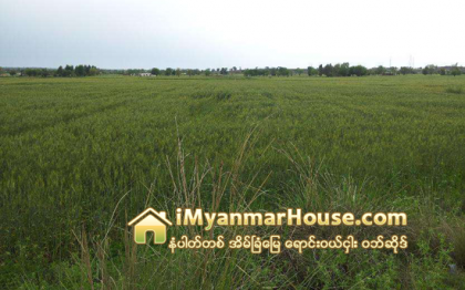 ရတနာပုံတံတားေအာက္က အျငင္းပြားလယ္ယာေျမကို လာေရာက္၀ယ္ယူသူမ်ားရွိေန - Property News in Myanmar from iMyanmarHouse.com
