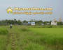 ေျမကြက္ အျမန္ ေရာင္းမည္