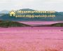 ေျမကြက္ အျမန္ ေရာင္းမည္