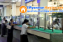 ေျမကြက္ အျမန္ ေရာင္းမည္