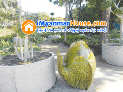 မႏၲေလးၿမိဳ႕ အိမ္ရာမ်ား အလွစိုက္ ပန္းမ်ဳိးစုံႏွင့္ အတူ လွပေသာ ငါးပုံပန္း အိုးကေလးမ်ားကို တြဲဖက္ ေရာင္းခ် - Property News in Myanmar from iMyanmarHouse.com