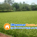 ေျမကြက္ အျမန္ ေရာင္းမည္