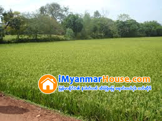 ေက်းရြာေျမမ်ား ဂရန္ခ်ေပးမႈ ယခု အကြက္ေဖာ္ေရာင္းခ်သည့္ ေျမကြက္မ်ားႏွင့္ မဆိုင္ - Property News in Myanmar from iMyanmarHouse.com