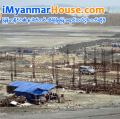 ေျမကြက္ အျမန္ ေရာင္းမည္