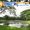 ေျမကြက္ အျမန္ ေရာင္းမည္