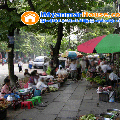 ေျမကြက္ အျမန္ ေရာင္းမည္