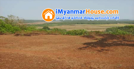 ဧရာ၀တီတိုင္းရွိ ေျမဧကႏွစ္ေသာင္းတြင္ ယူကလစ္စိုက္ခြင့္ ထိုင္းကုမၸဏီတစ္ခုရ - Property News in Myanmar from iMyanmarHouse.com