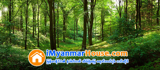 ေက်းရြာ ၃၀၀၀ ခန္႔အတြက္ သစ္ေတာေျမဧက ၅ သိန္းေက်ာ္ကို ပယ္ဖ်က္ေပးခဲ့ - Property News in Myanmar from iMyanmarHouse.com