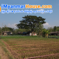 ေျမကြက္ အျမန္ ေရာင္းမည္