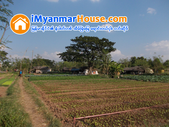 ရန္ကုန္ၿမိဳ႕ ဆင္ေျခဖုန္းၿမိဳ႕စြန္မ်ားတြင္ အိမ္ၿခံေျမေစ်း ဆက္တိုက္က်၍ ရင္းႏွီးျမႇဳပ္ႏွံထားသူမ်ား အခက္ႀကံဳ - Property News in Myanmar from iMyanmarHouse.com