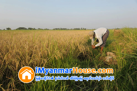 ေျမယာမူ၀ါဒ ဆ႒မမူၾကမ္း၏ တစ္သီးပုဂၢလ ေလွ်ာက္ထား၍ ေျမအသံုးခ်မႈ ေျပာင္းလဲျခင္း - Property News in Myanmar from iMyanmarHouse.com