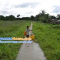 ေျမကြက္ အျမန္ ေရာင္းမည္