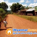 ေျမကြက္ အျမန္ ေရာင္းမည္