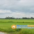 ေျမကြက္ အျမန္ ေရာင္းမည္