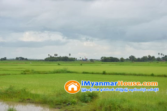 ထား၀ယ္ အထူးစီးပြားေရးဇုန္ စီမံခန္႔ခြဲမႈ ေကာ္မတီက ေလွ်ာက္ထားသည့္ ေျမဧက သံုးေသာင္းေက်ာ္မွာ ေဒသခံမ်ားထံမွ သိမ္းဆည္းရန္ မဟုတ္ဘဲ လယ္ယာေျမကို အျခားနည္းျဖင့္ အသံုးျပဳရန္ ေလွ်ာက္ထားျခ - Property News in Myanmar from iMyanmarHouse.com