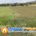 ေျမကြက္ အျမန္ ေရာင္းမည္