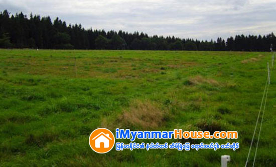 ေျမခြန္ စည္းၾကပ္ေကာက္ခံျခင္း နည္းလမ္းမ်ား အသံုးျပဳသည့္မူ ခ်မွတ္ရမည္ဟု အမ်ဳိးသား ေျမအသံုးခ်မႈ မူ၀ါဒတြင္ေဖာ္ျပ - Property News in Myanmar from iMyanmarHouse.com
