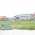 ေျမကြက္ အျမန္ ေရာင္းမည္