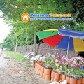 ေျမကြက္ အျမန္ ေရာင္းမည္