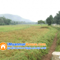 ေျမကြက္ အျမန္ ေရာင္းမည္