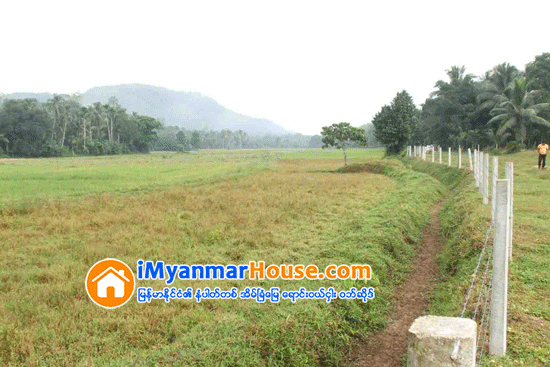 ရန္ကုန္ၿမိဳ့သစ္စီၤမံကိန္း ၀င္ လယ္သမားမ်ားအတြက္ ေလ်ာ္ေၾကး တိုက္ခန္းေပါင္း တစ္ေသာင္းေက်ာ္ေပးအပ္ရန္ သေဘာတူညီမွဳရ - Property News in Myanmar from iMyanmarHouse.com