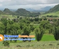 ေျမကြက္ အျမန္ ေရာင္းမည္