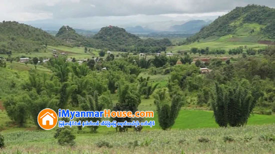 ေတာင္ၾကီး က်ီးျဖဴကန္ ေက်းရြာအနီး ေျမကြက္ေတြ စိတ္၀င္စား - Property News in Myanmar from iMyanmarHouse.com
