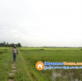 ေျမကြက္ အျမန္ ေရာင္းမည္