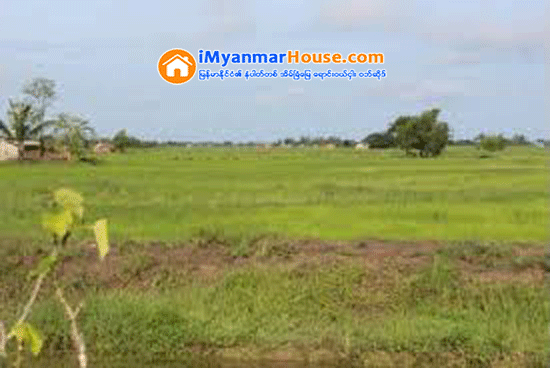 ရန္ကုန္ၿမိဳ႕သစ္စီမံကိန္းမွ လယ္ေျမမ်ား တစ္ဧက က်ပ္သိန္း ၂၀၀ မွ ၃၀၀ အတြင္း အေရာင္းအ၀ယ္ျဖစ္ေန - Property News in Myanmar from iMyanmarHouse.com