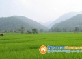 ေျမကြက္ အျမန္ ေရာင္းမည္