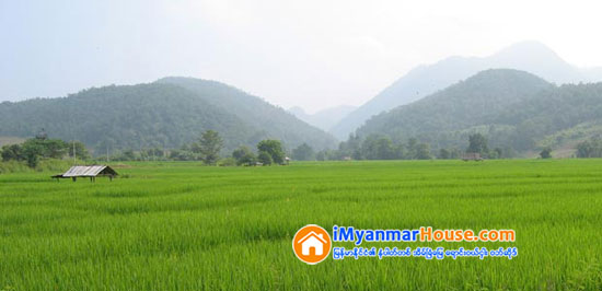 အစိုးရသိမ္းယူထားသည့္ လယ္ေျမမ်ားထဲမွ ဧကသုံးသိန္းေက်ာ္ ျပန္လည္စြန္႔လႊတ္ေၾကာင္း ေၾကညာ - Property News in Myanmar from iMyanmarHouse.com